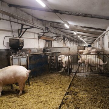 Farma Žeravice
